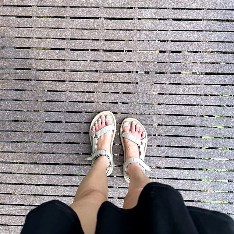 Grooved anti-slip composite boardwalk at Rainforest Wild Adventure, photographed from above with sandals