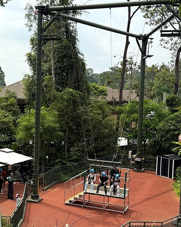 Ravine Swing at Rainforest Wild Adventure: three harnessed riders in helmets on the launch platform, staff alongside, fenced rubber-floored zone